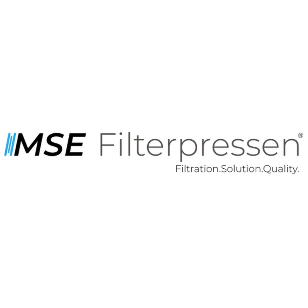 MSE Filterpressen GmbH logo